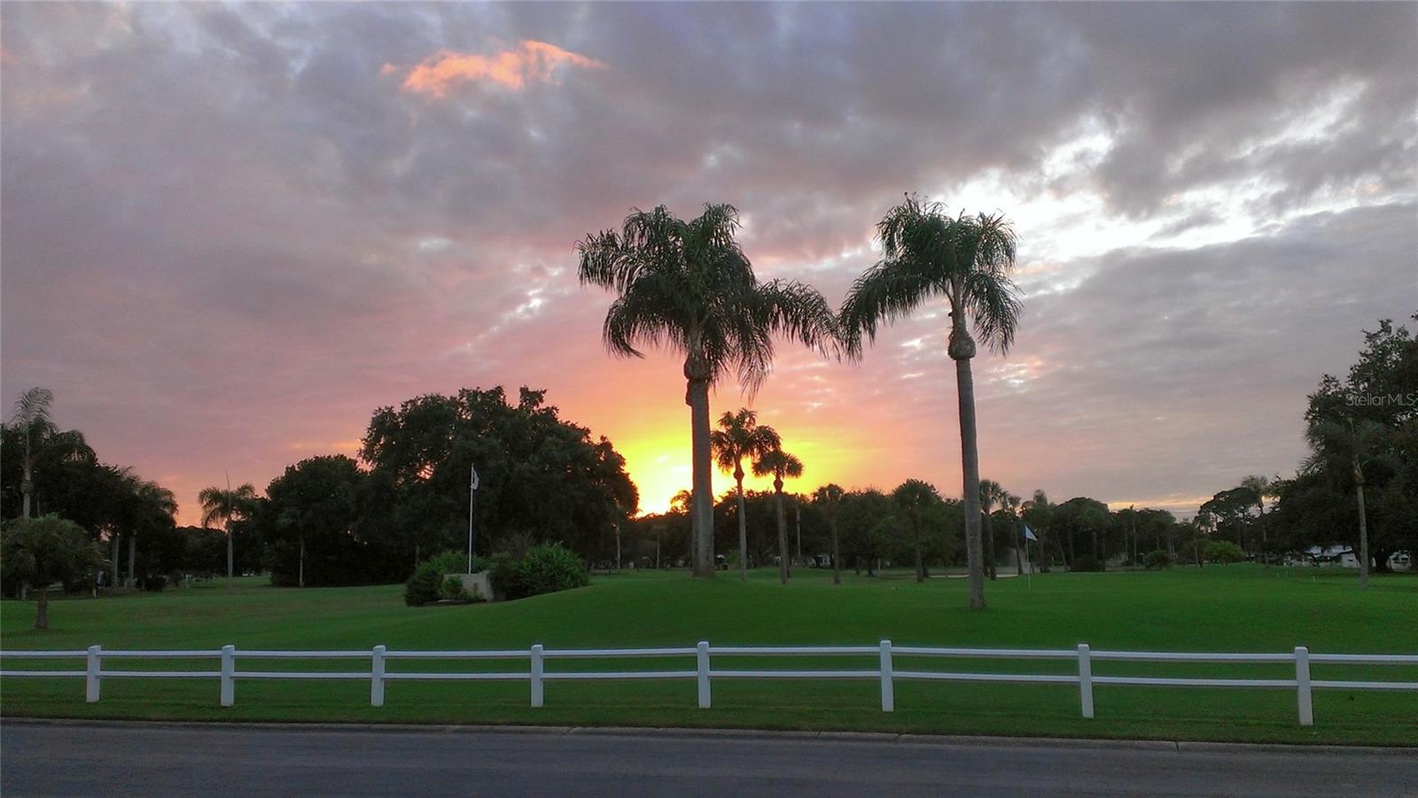 1100 BELCHER RD S #190, LARGO, FL — photo 47