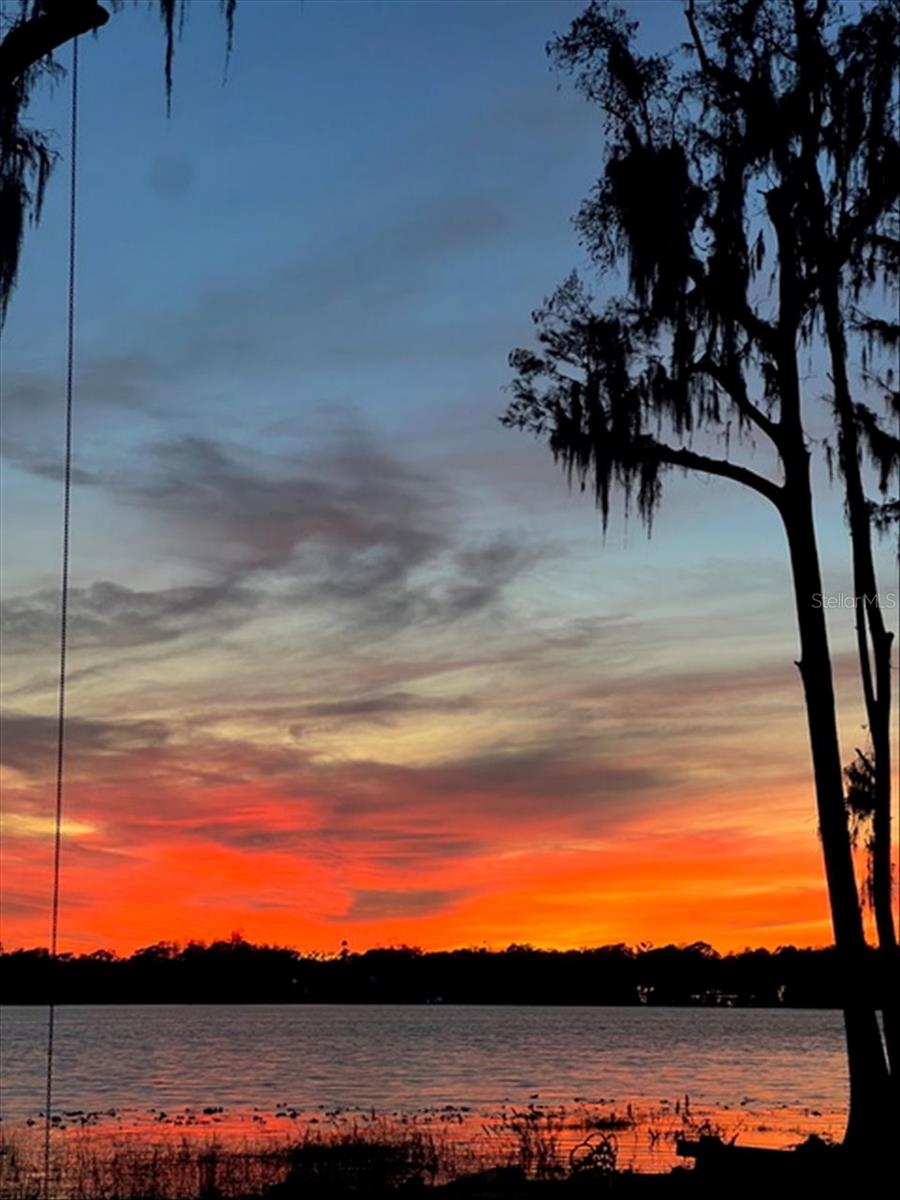 17924 SIMMS RD, ODESSA, FL — photo 8