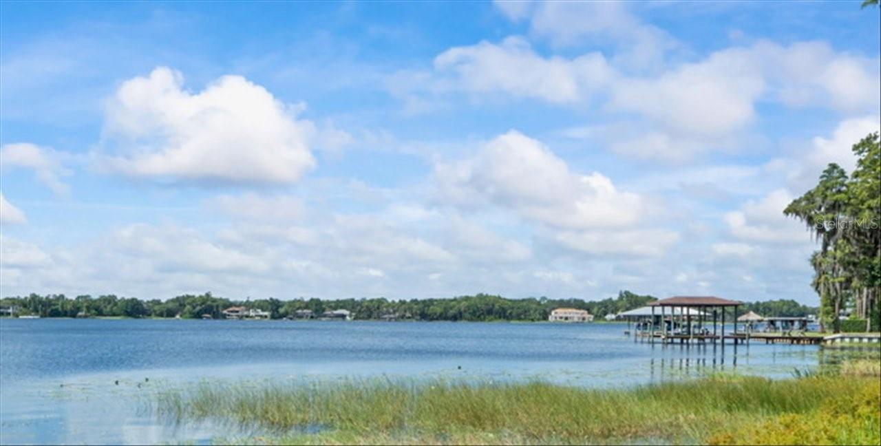 17924 SIMMS RD, ODESSA, FL — photo 9