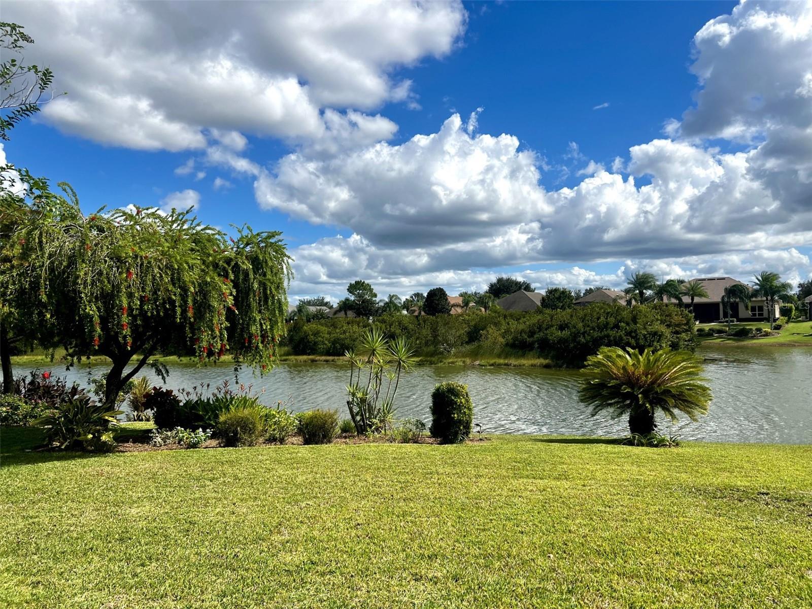 8860 BRIDGEPORT BAY CIR, MOUNT DORA, FL — photo 5