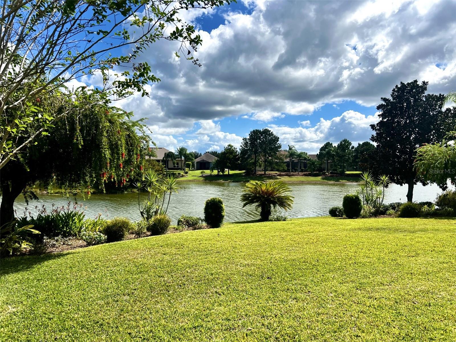 8860 BRIDGEPORT BAY CIR, MOUNT DORA, FL