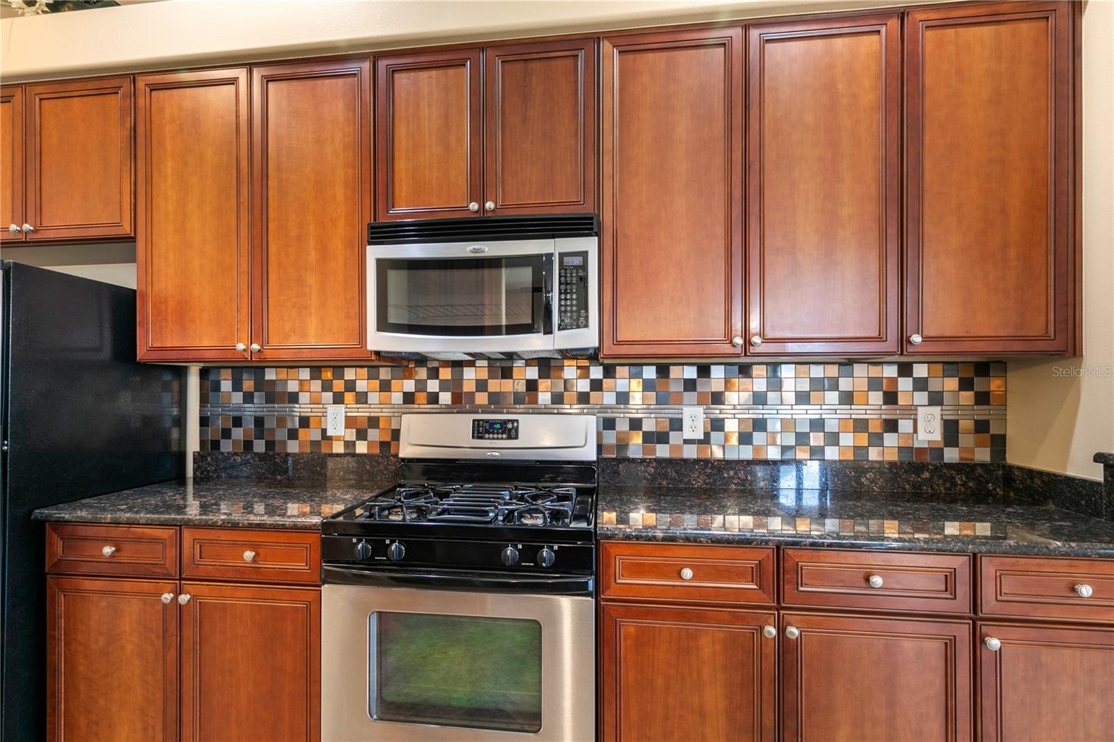 8860 BRIDGEPORT BAY CIR, MOUNT DORA, FL — photo 28