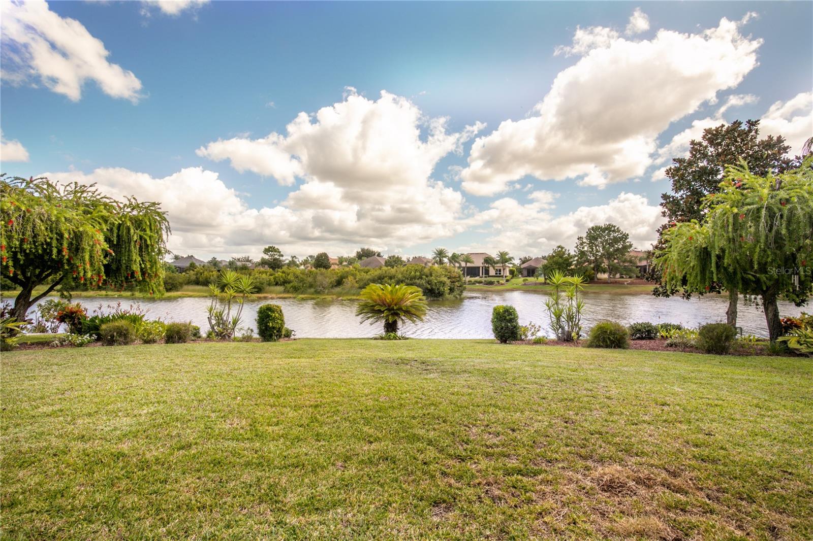 8860 BRIDGEPORT BAY CIR, MOUNT DORA, FL — photo 38