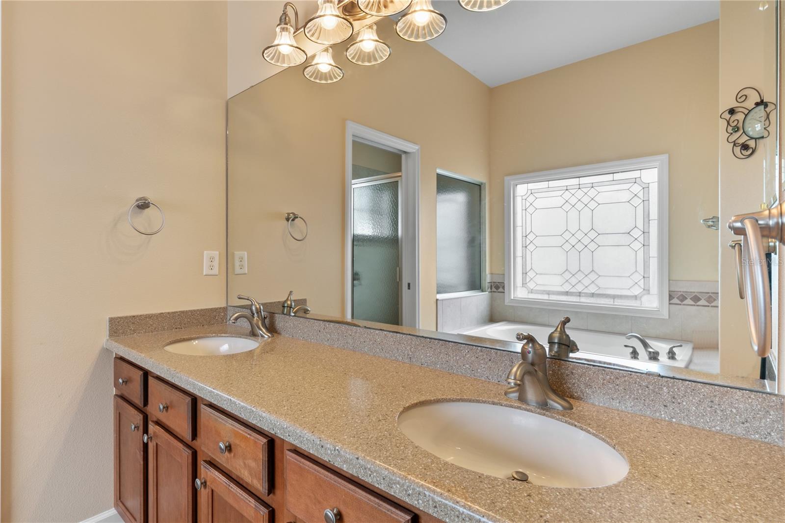 8860 BRIDGEPORT BAY CIR, MOUNT DORA, FL — photo 49