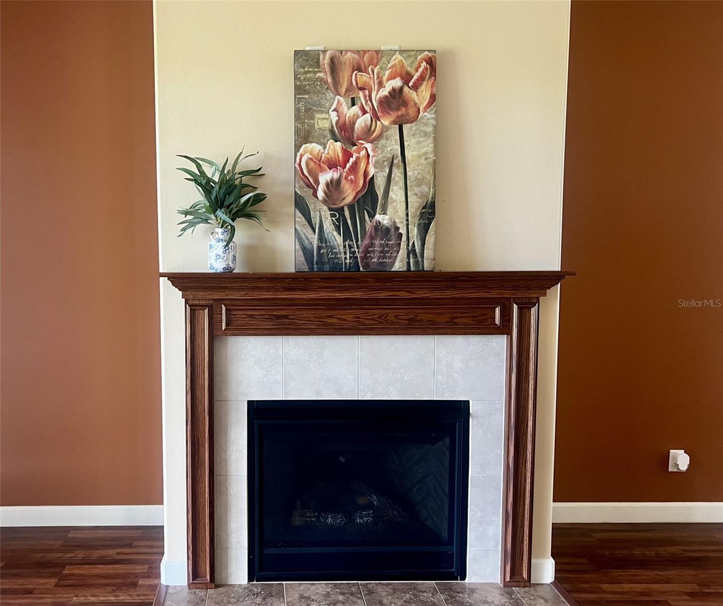 8860 BRIDGEPORT BAY CIR, MOUNT DORA, FL — photo 20