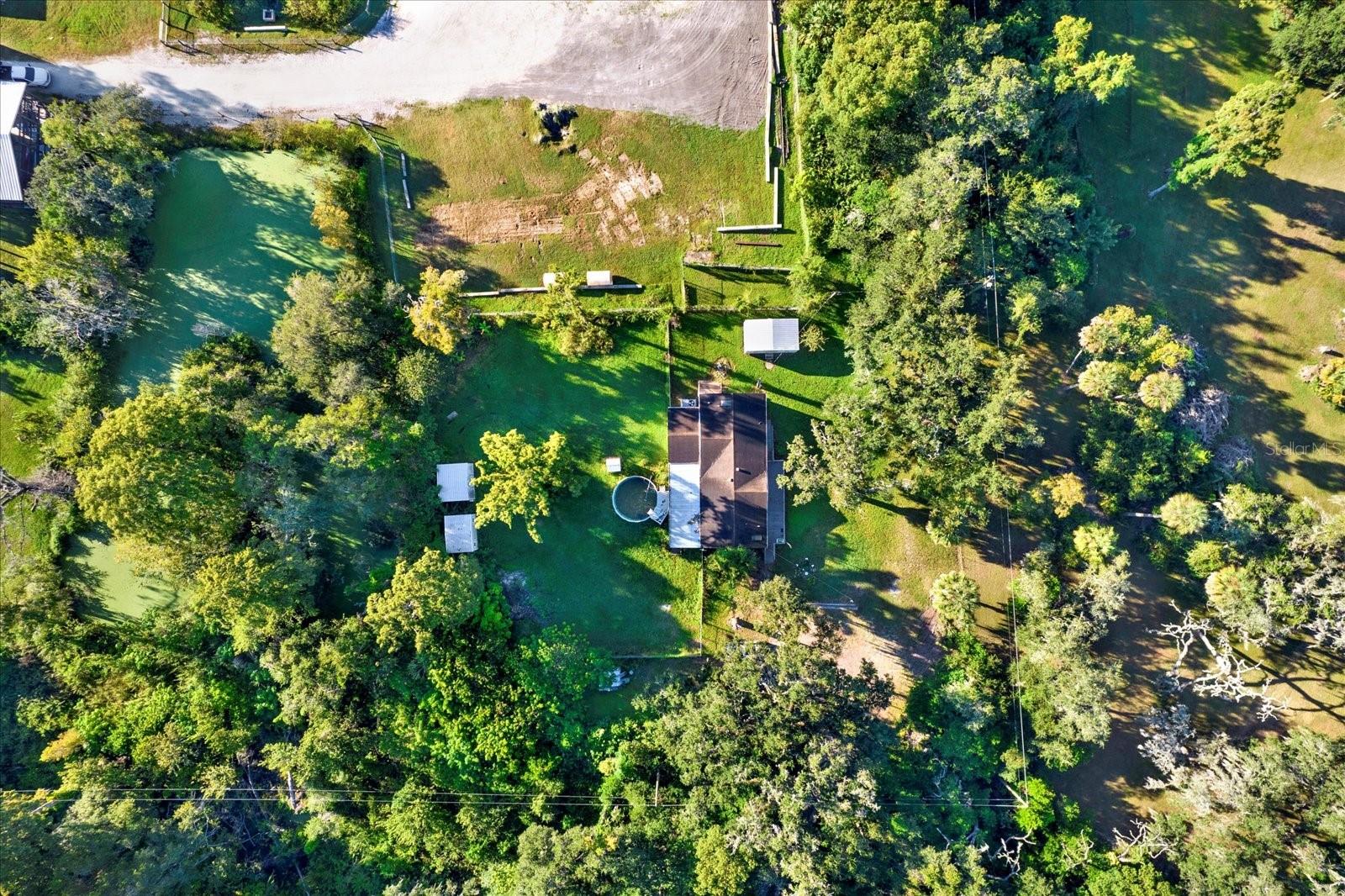 9211 HARNEY BAPTIST CHURCH RD, TAMPA, FL — photo 8
