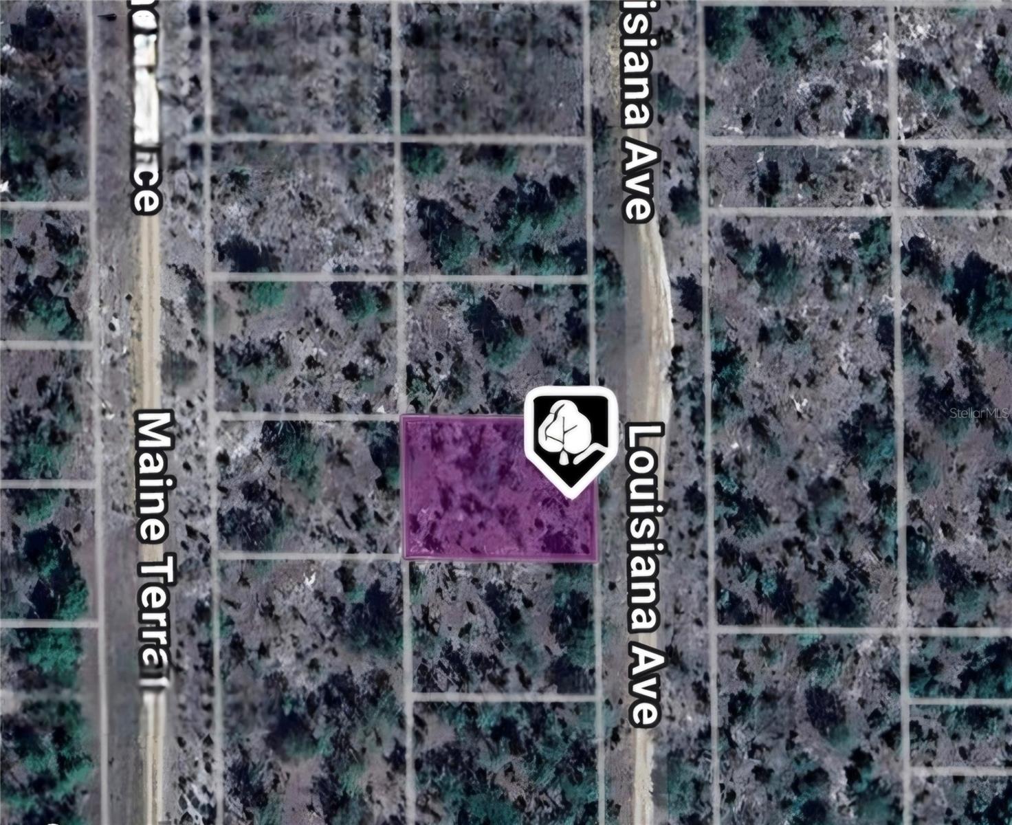 LOT 19 AND 20 LOUISIANA AVE, HAWTHORNE, FL — photo 2