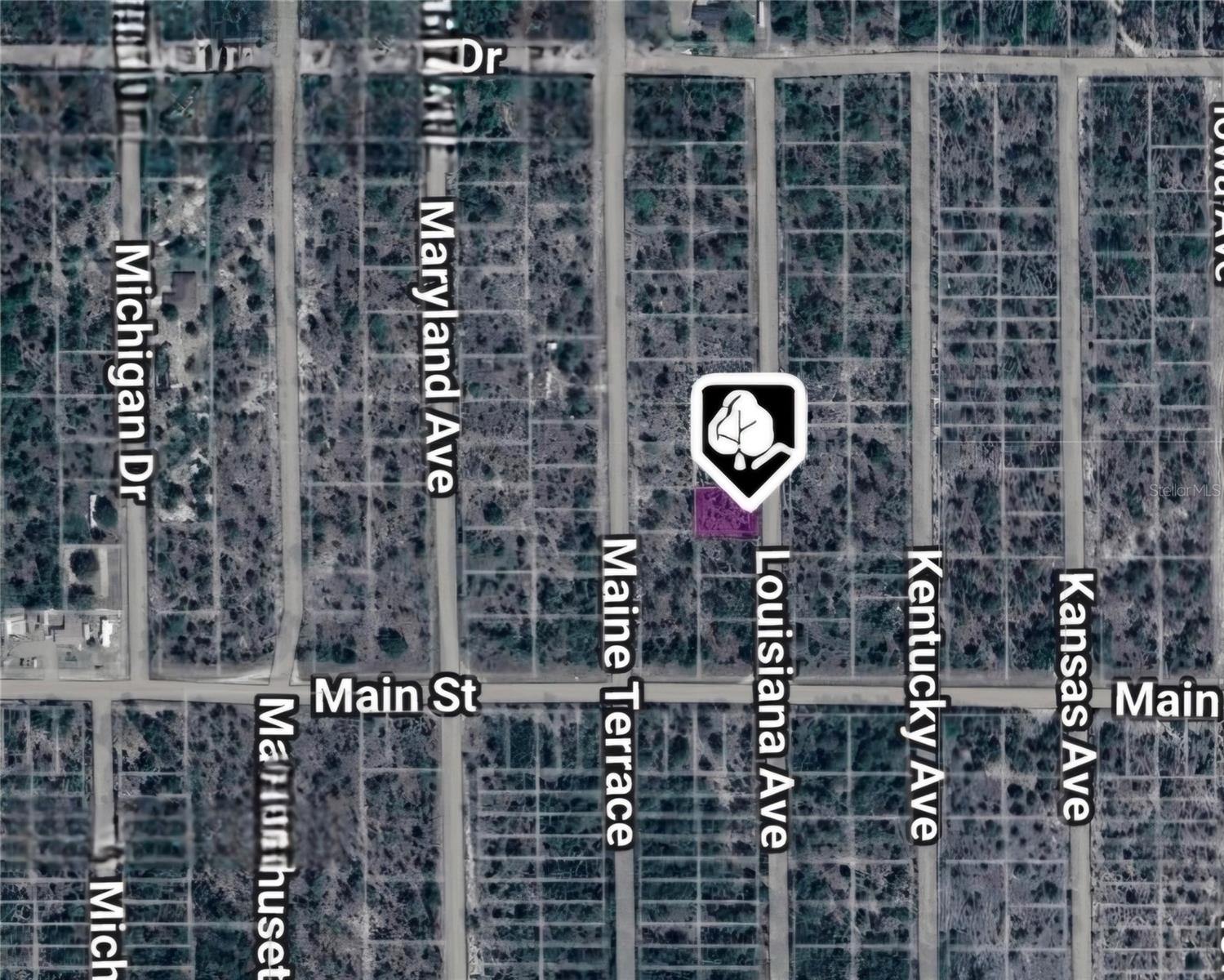 LOT 19 AND 20 LOUISIANA AVE, HAWTHORNE, FL