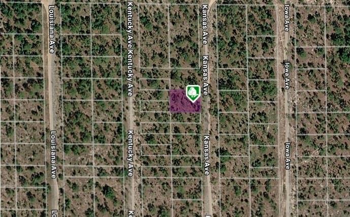 LOT 8 AND 9 KANSAS AVE, HAWTHORNE, FL