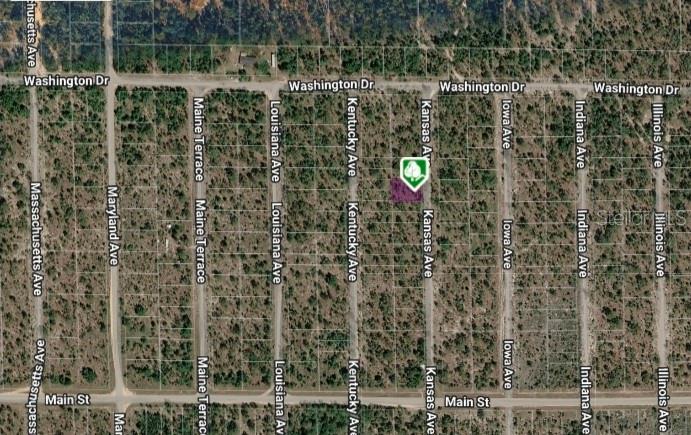 LOT 8 AND 9 KANSAS AVE, HAWTHORNE, FL — photo 3