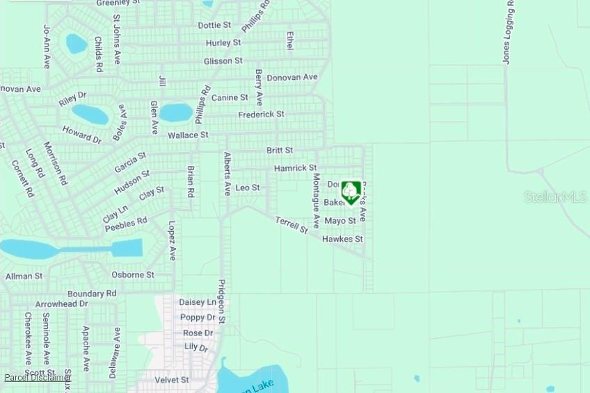 LOT 8 BAKER ST, INTERLACHEN, FL — photo 3