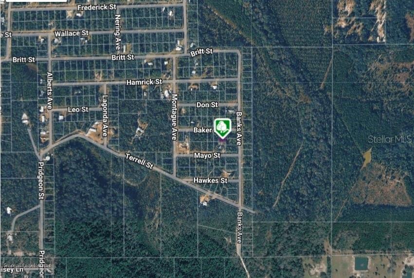 LOT 8 BAKER ST, INTERLACHEN, FL — photo 4
