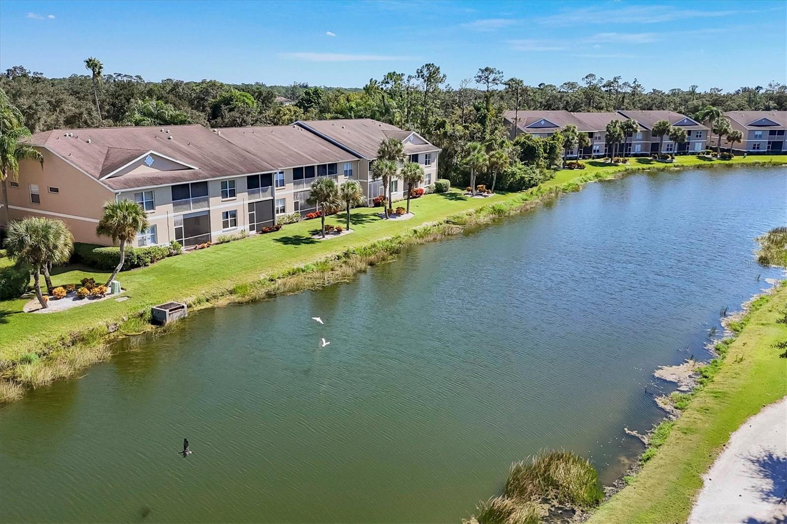 5240 HYLAND HILLS AVE #1426, SARASOTA, FL — photo 45