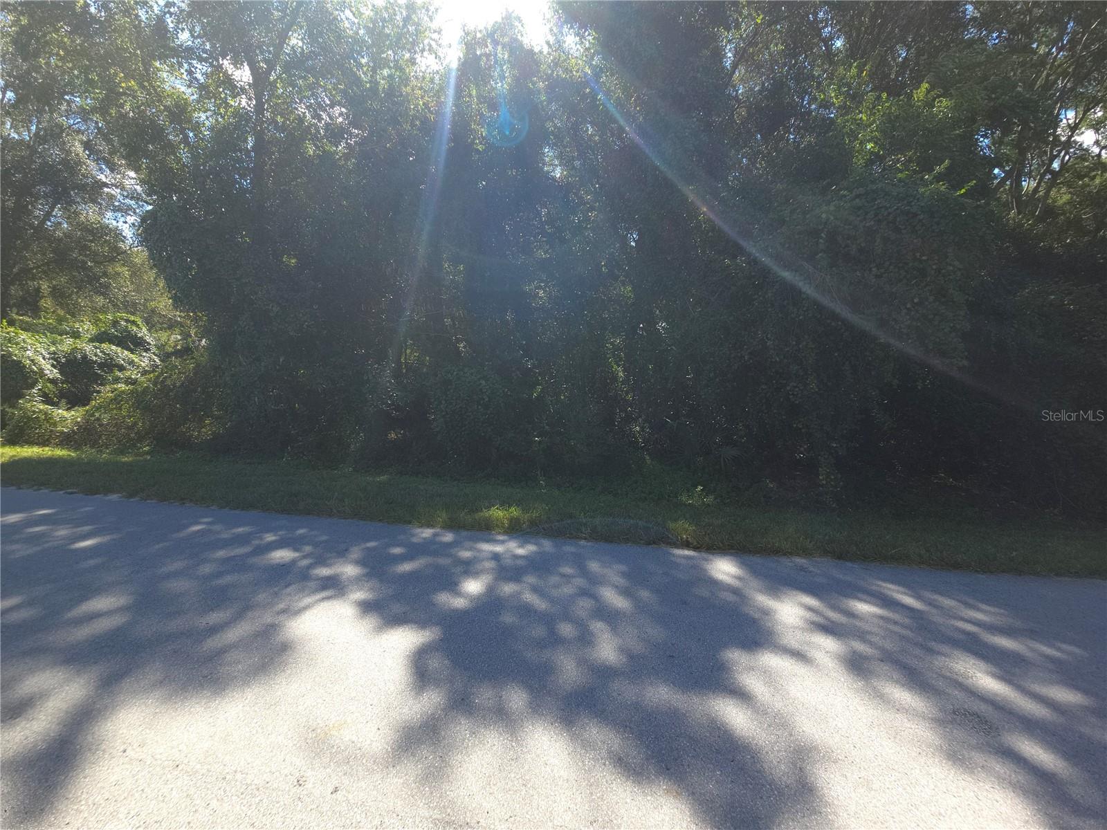 60 JUNIPER PASS, OCALA, FL