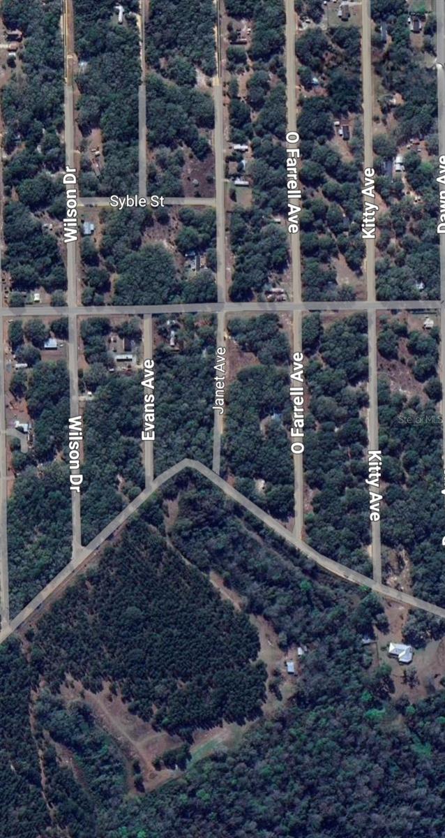 LOT 3 NEISMAN AVE, INTERLACHEN, FL — photo 4