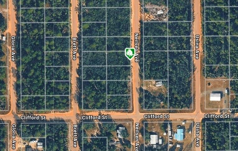 LOT 22 NEILSEN AVE, INTERLACHEN, FL