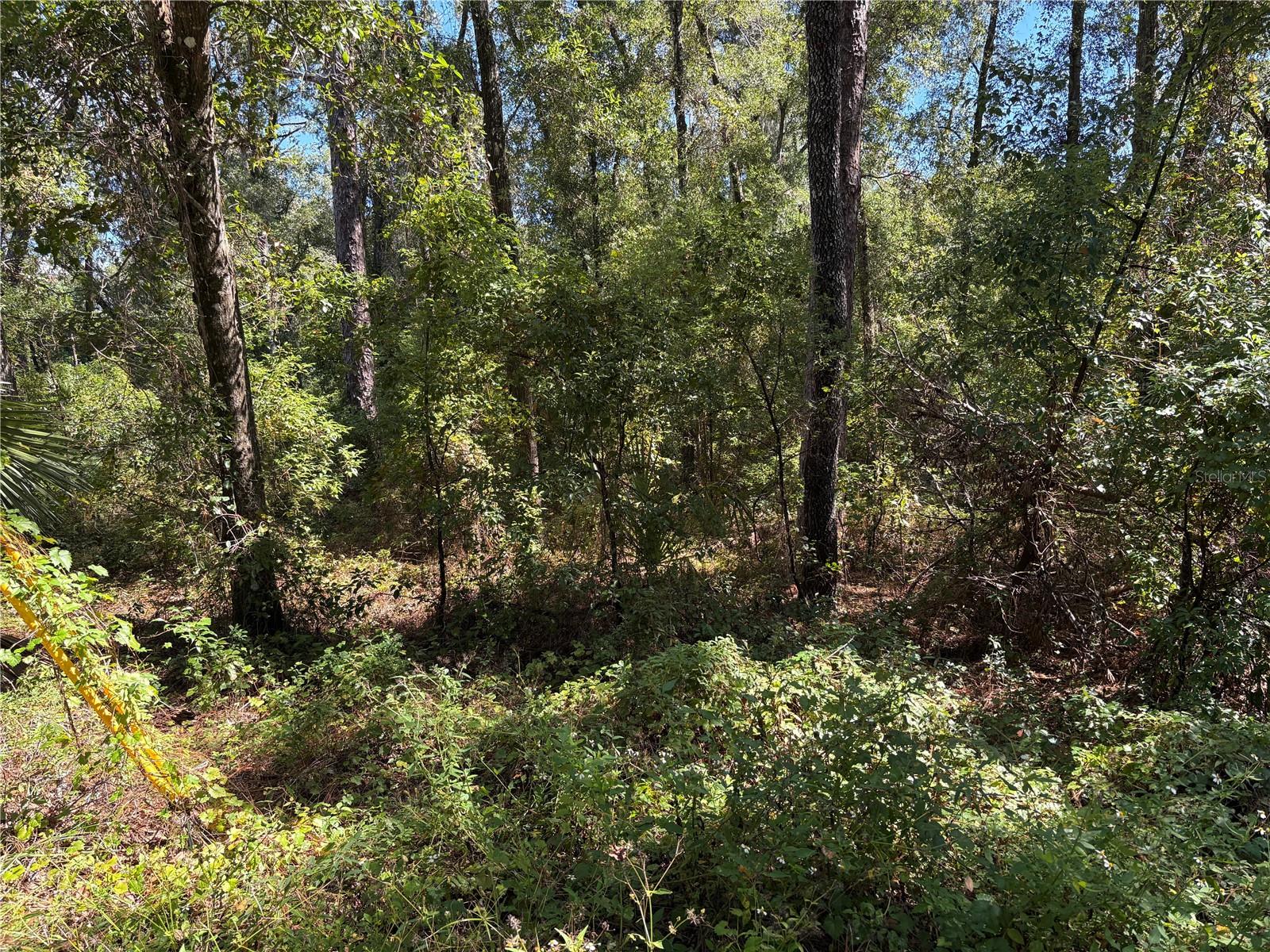 1228 CLOVER TER, INVERNESS, FL
