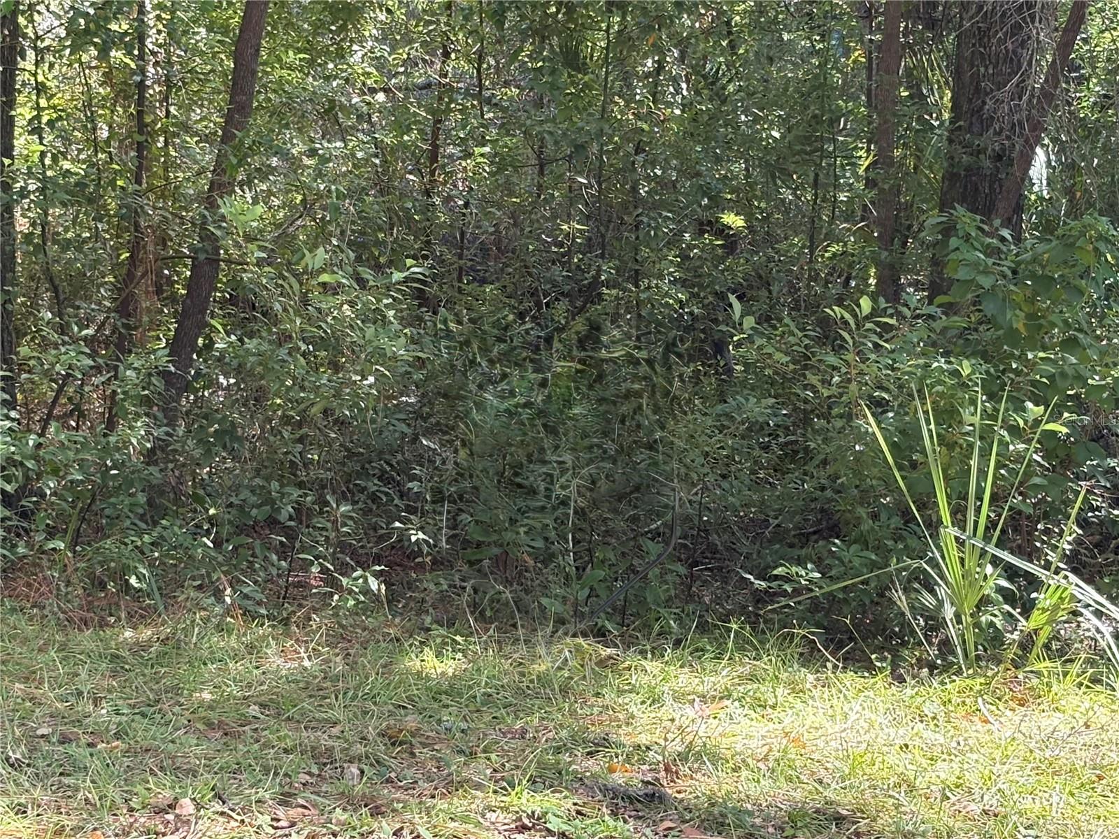 1228 CLOVER TER, INVERNESS, FL — photo 3