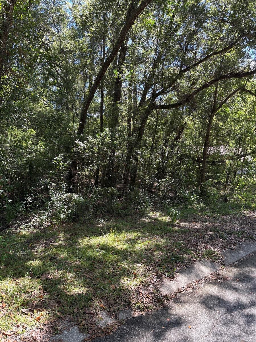 1228 CLOVER TER, INVERNESS, FL — photo 5