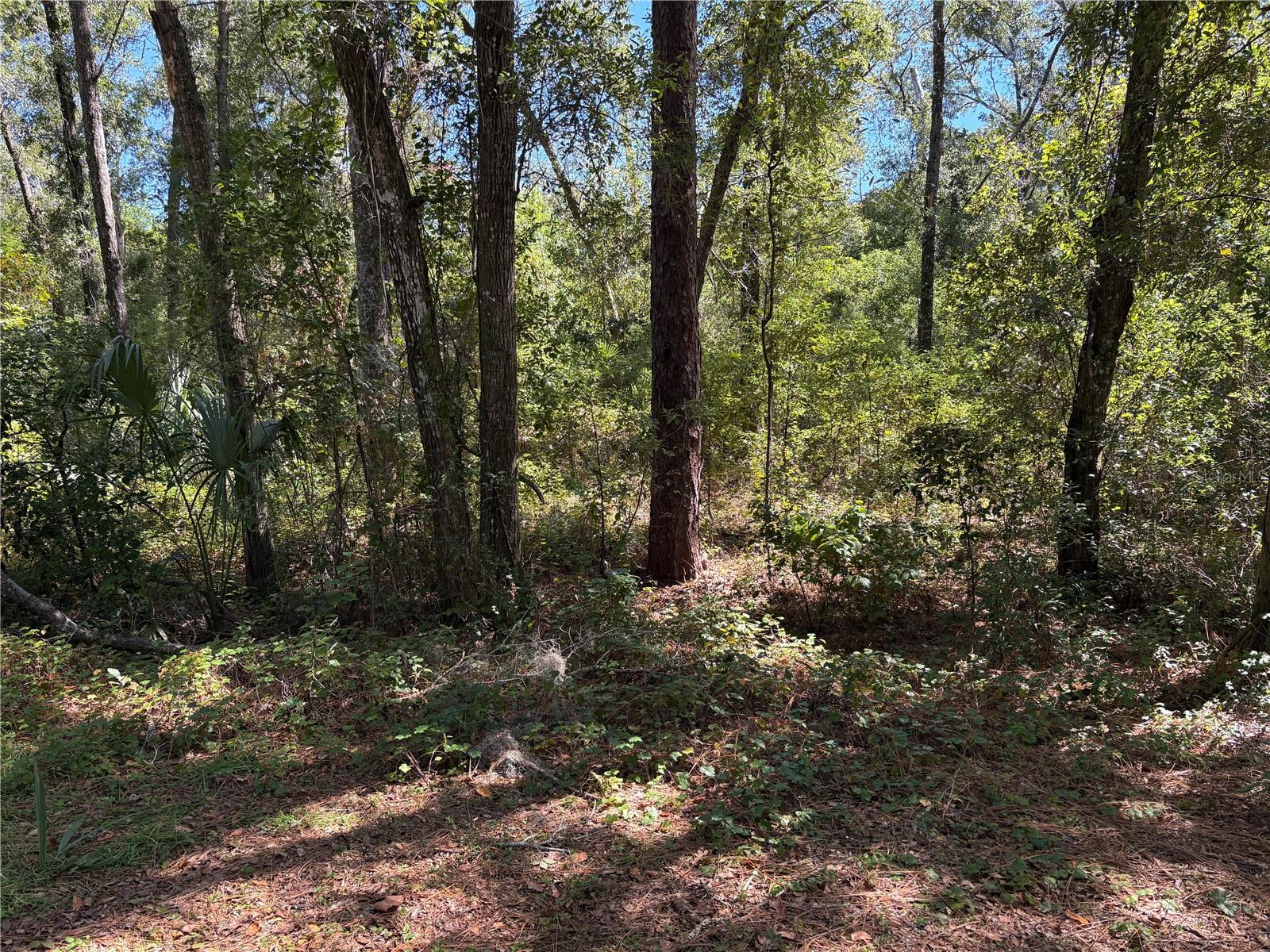 1228 CLOVER TER, INVERNESS, FL — photo 9