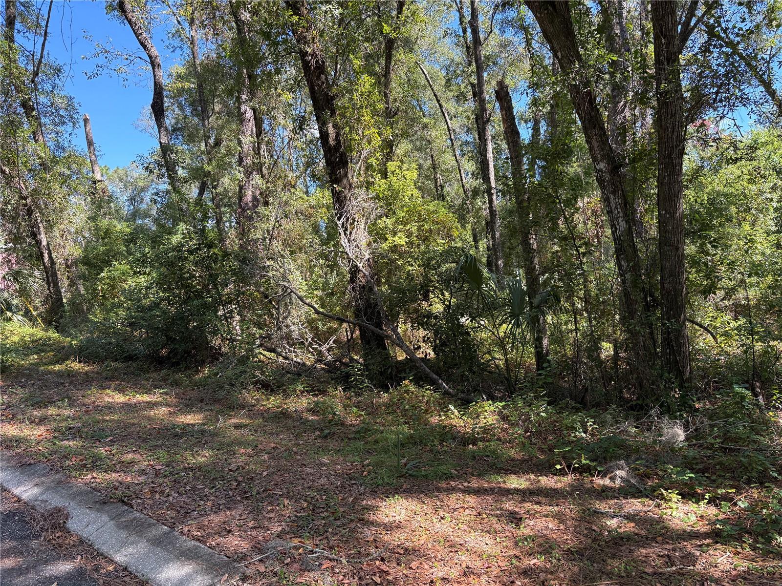 1228 CLOVER TER, INVERNESS, FL — photo 11