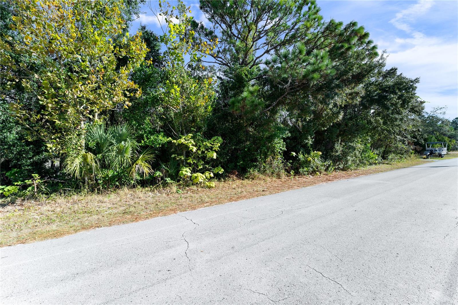 7049 CENTERWOOD AVE, SPRING HILL, FL — photo 3