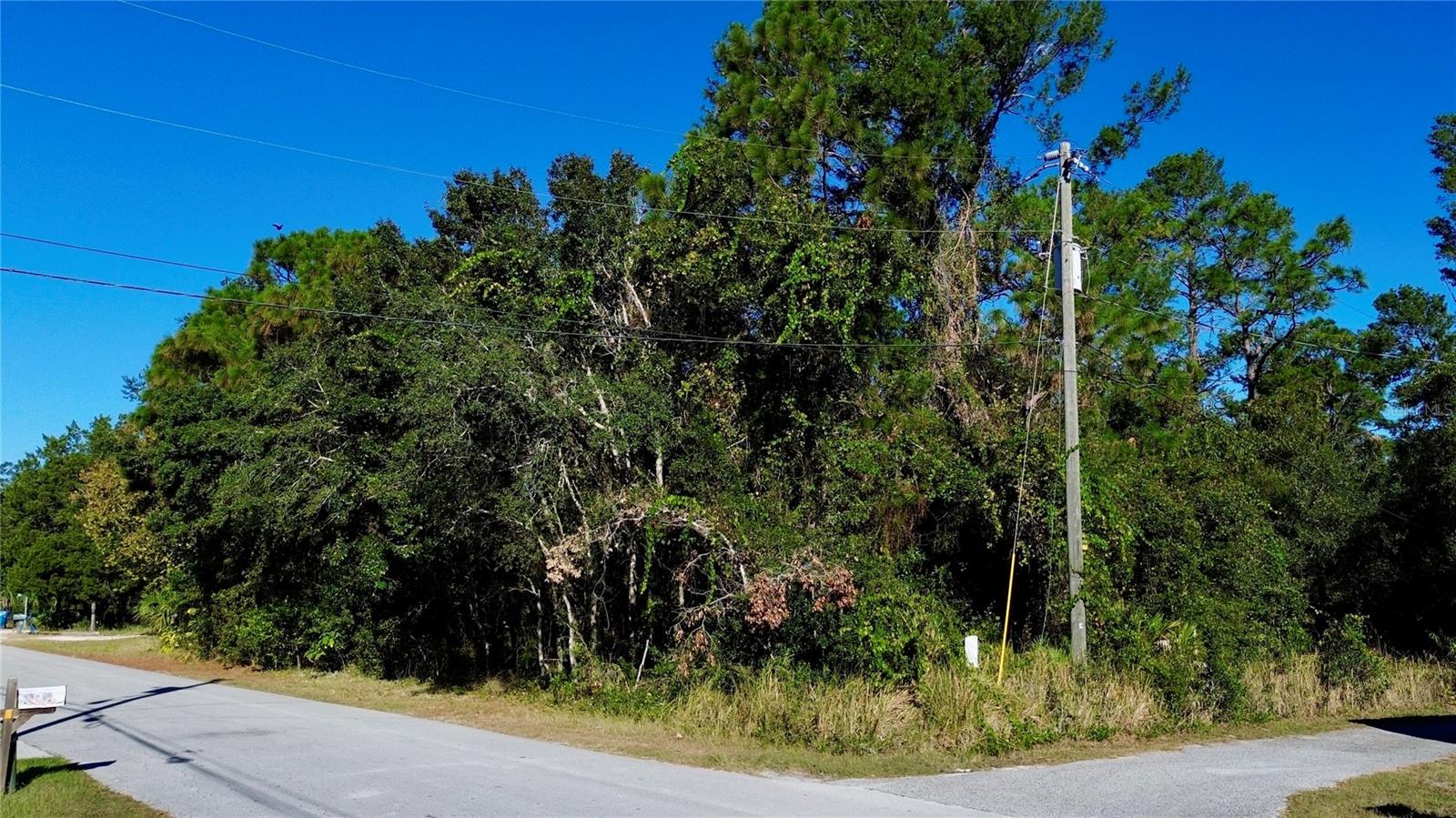 7049 CENTERWOOD AVE, SPRING HILL, FL — photo 4