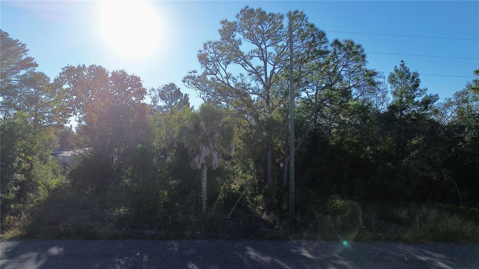3560 DIAGONAL LN, SPRING HILL, FL — photo 10