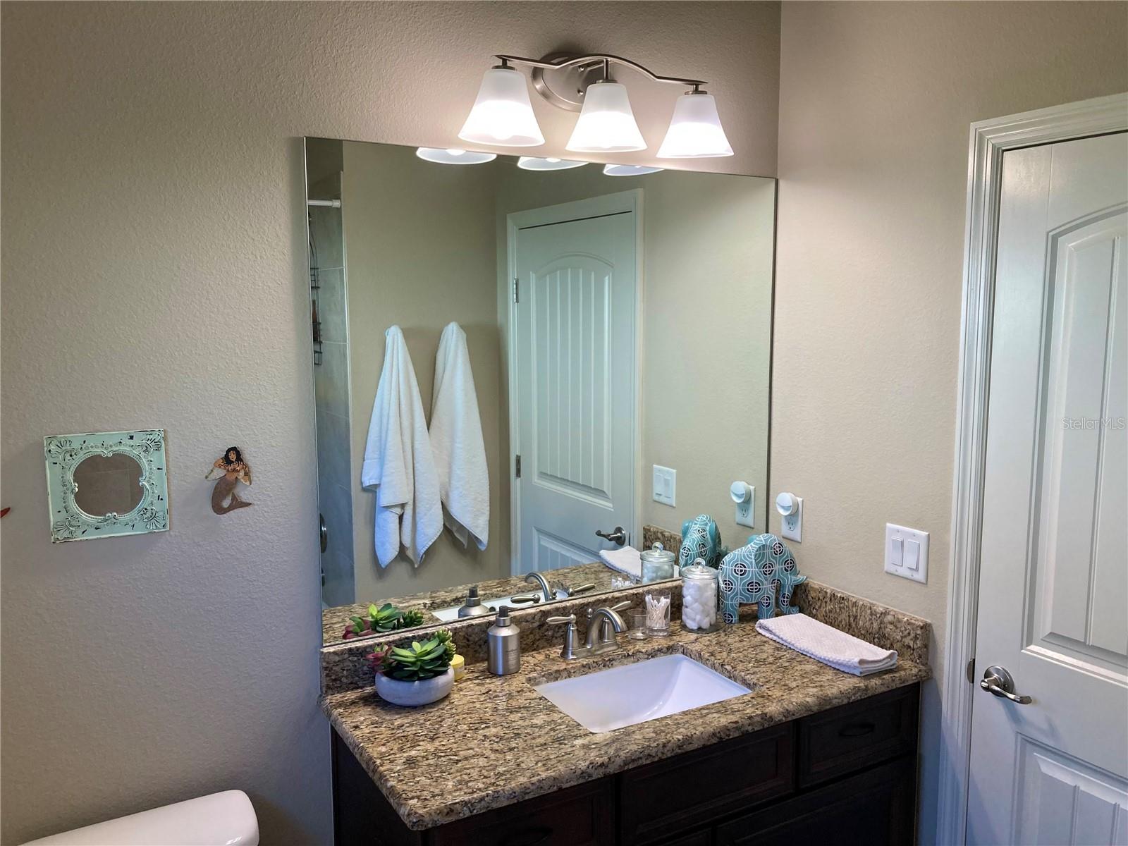 3078 SILVERMINES AVE, ORMOND BEACH, FL — photo 57