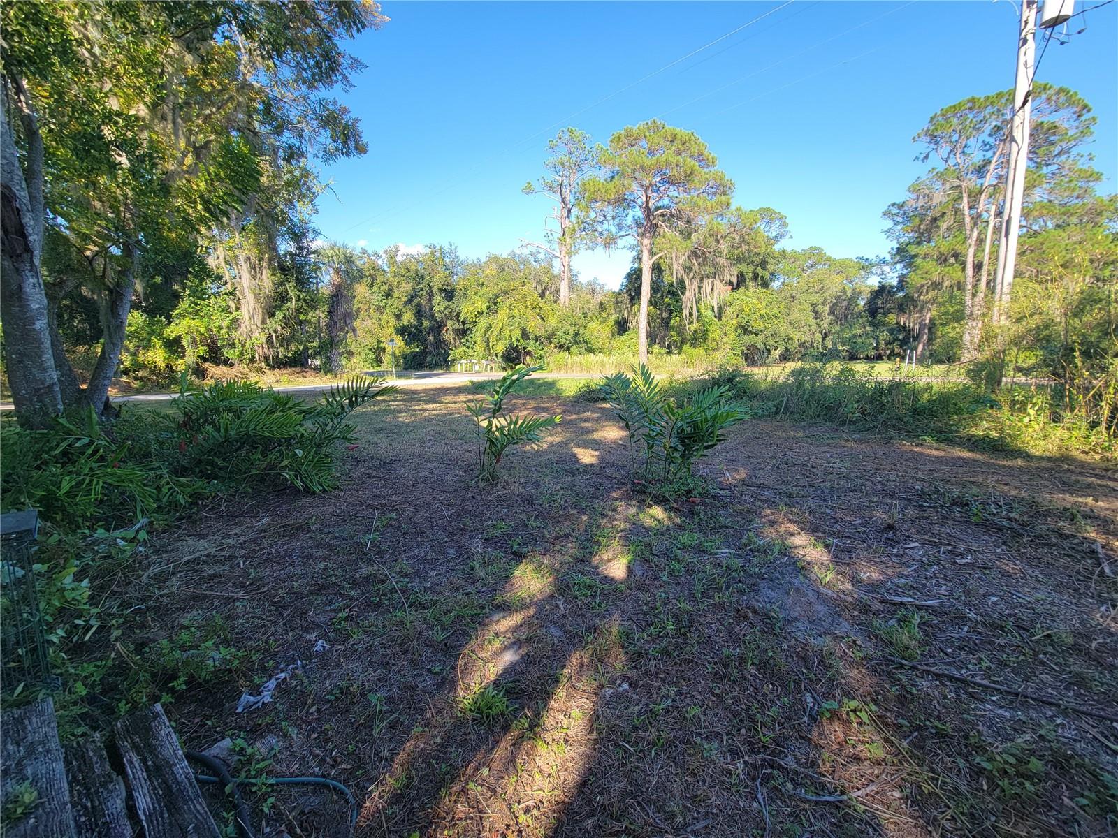 15031 SE 189TH PL, HAWTHORNE, FL — photo 36