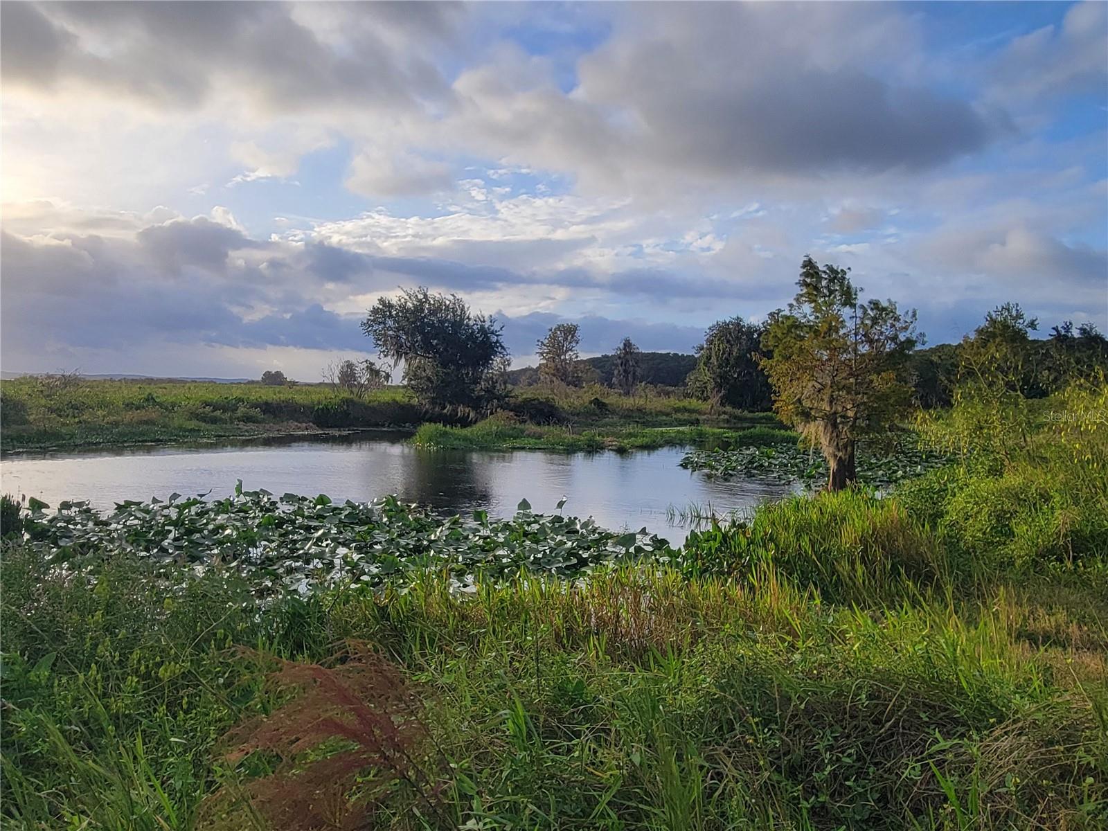 15031 SE 189TH PL, HAWTHORNE, FL — photo 49