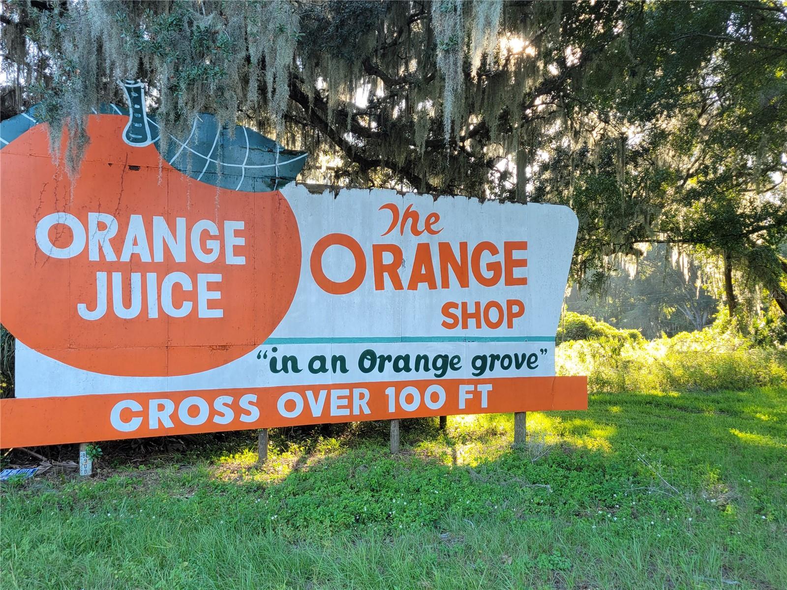 15031 SE 189TH PL, HAWTHORNE, FL — photo 63