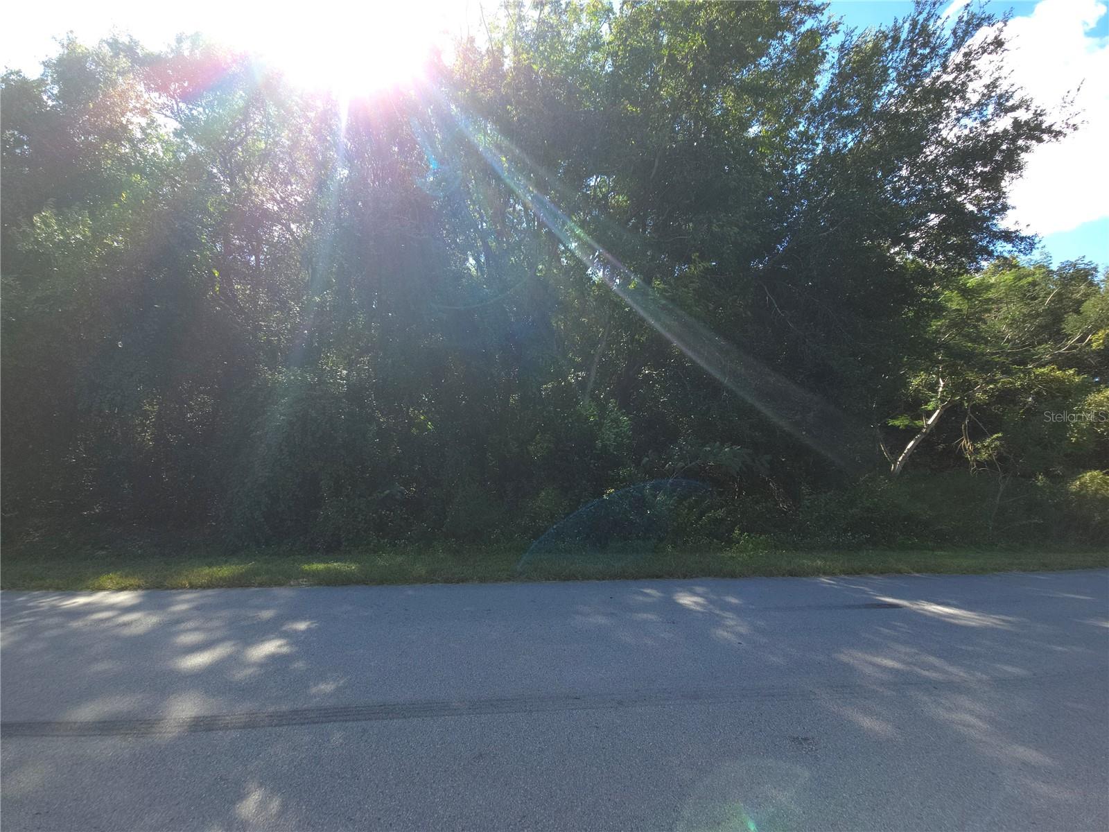 68 JUNIPER PASS, OCALA, FL