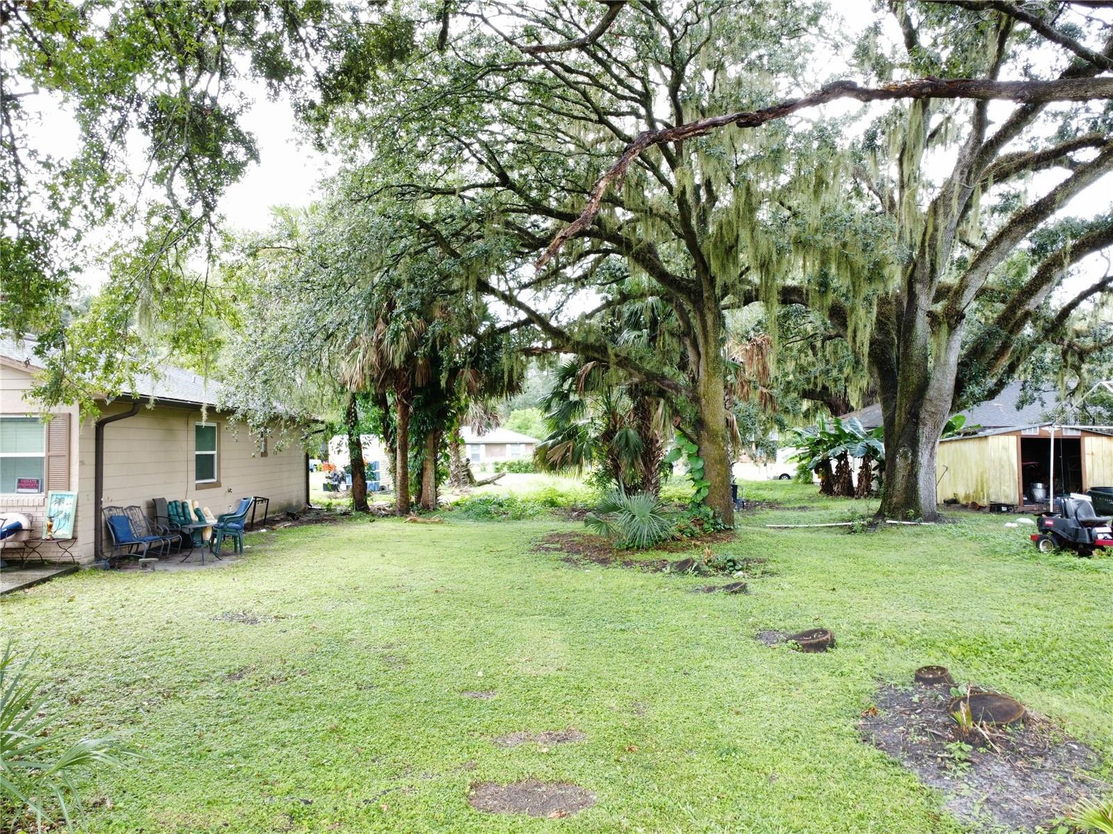 188 MARY ST, WINTER GARDEN, FL — photo 10