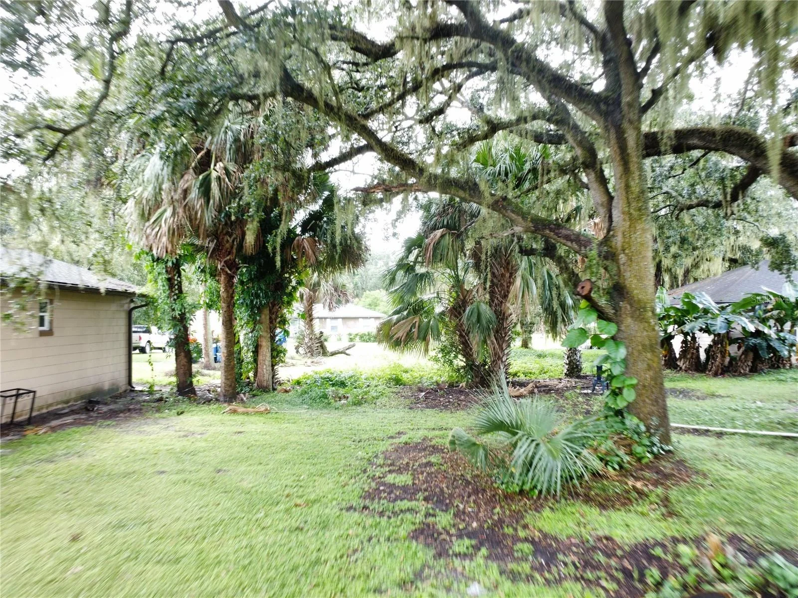 188 MARY ST, WINTER GARDEN, FL — photo 18