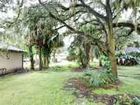 188 MARY ST — photo 18