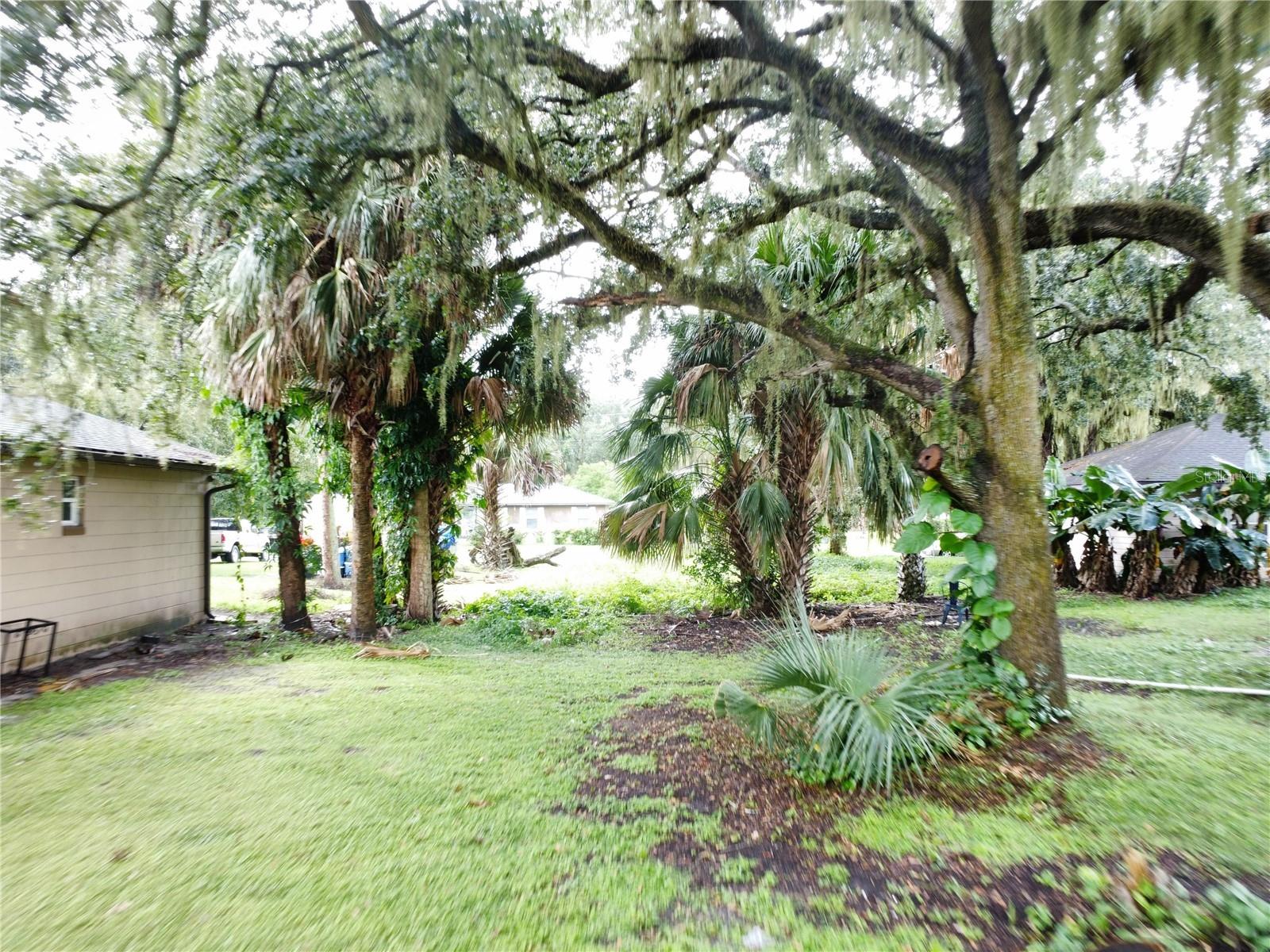 188 MARY ST, WINTER GARDEN, FL — photo 17