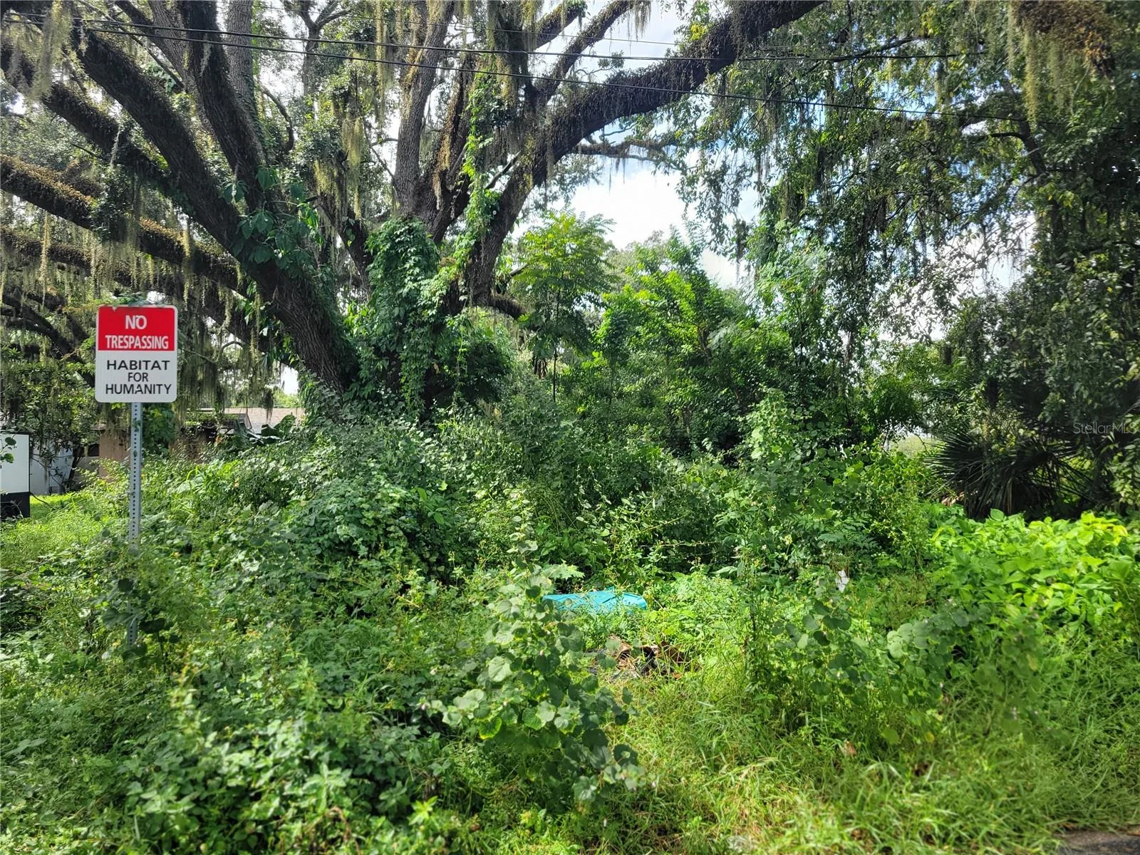 188 MARY ST, WINTER GARDEN, FL — photo 48