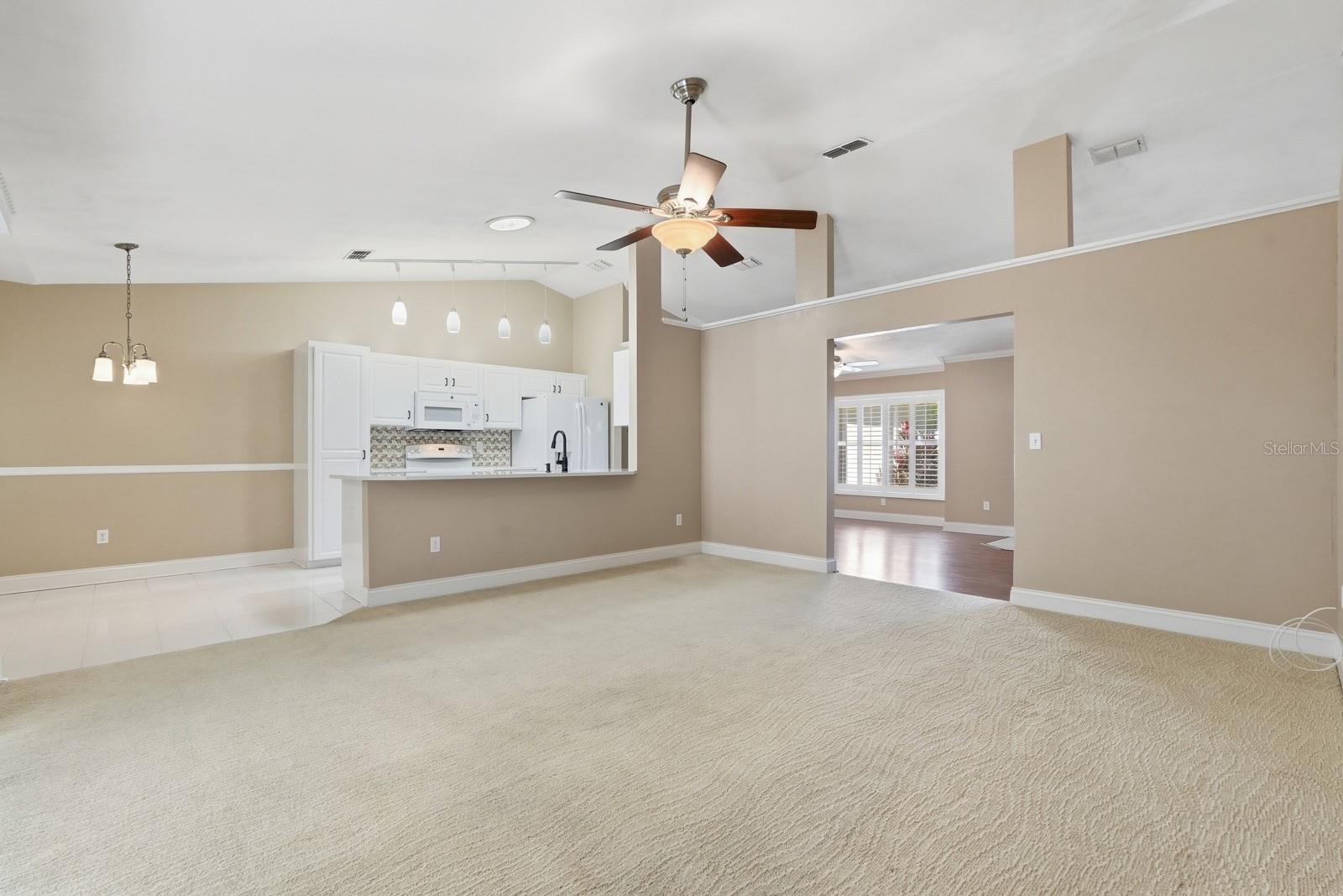 3769 GROVE VIEW LN, PORT ORANGE, FL — photo 9