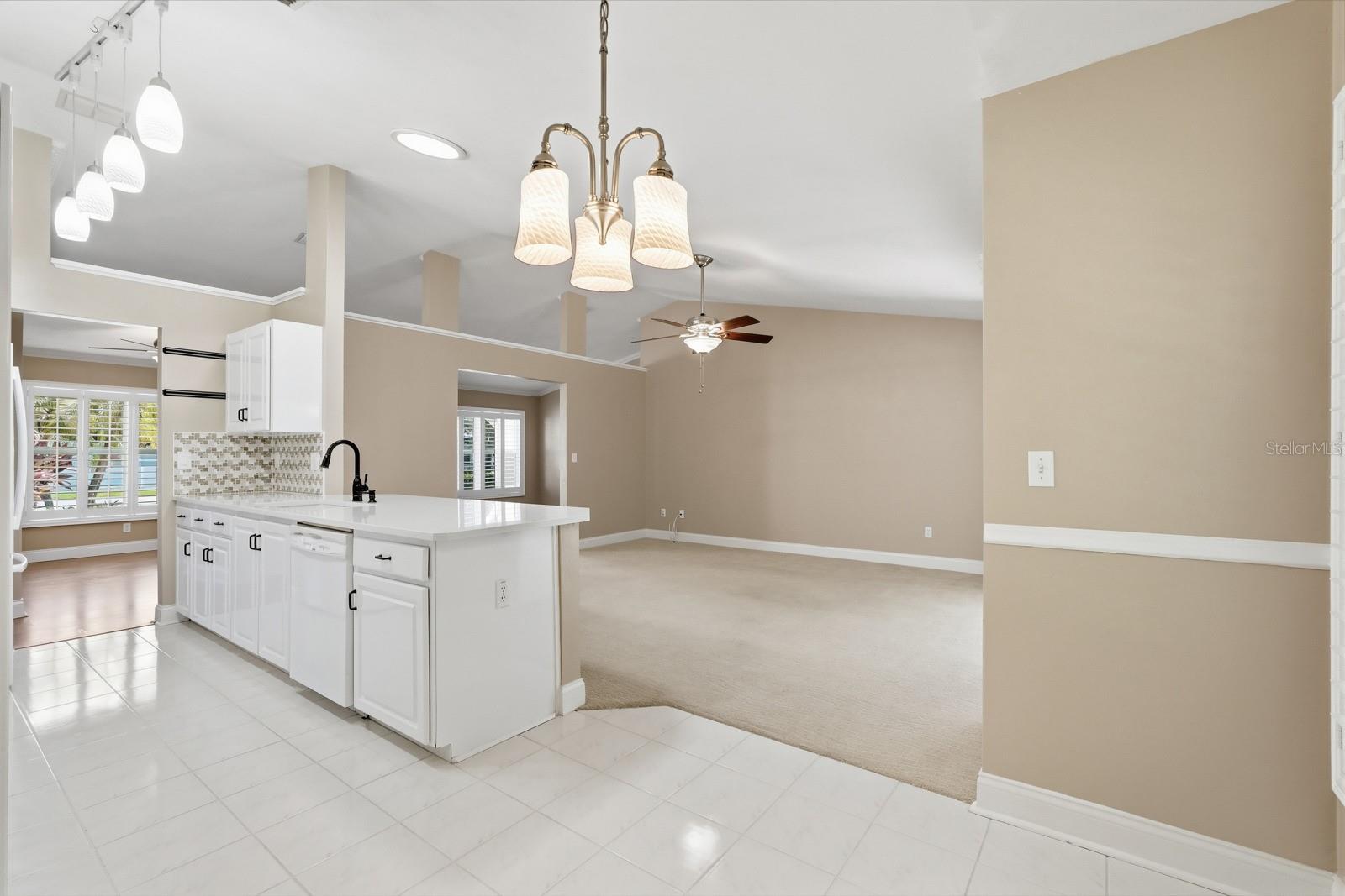 3769 GROVE VIEW LN, PORT ORANGE, FL — photo 12