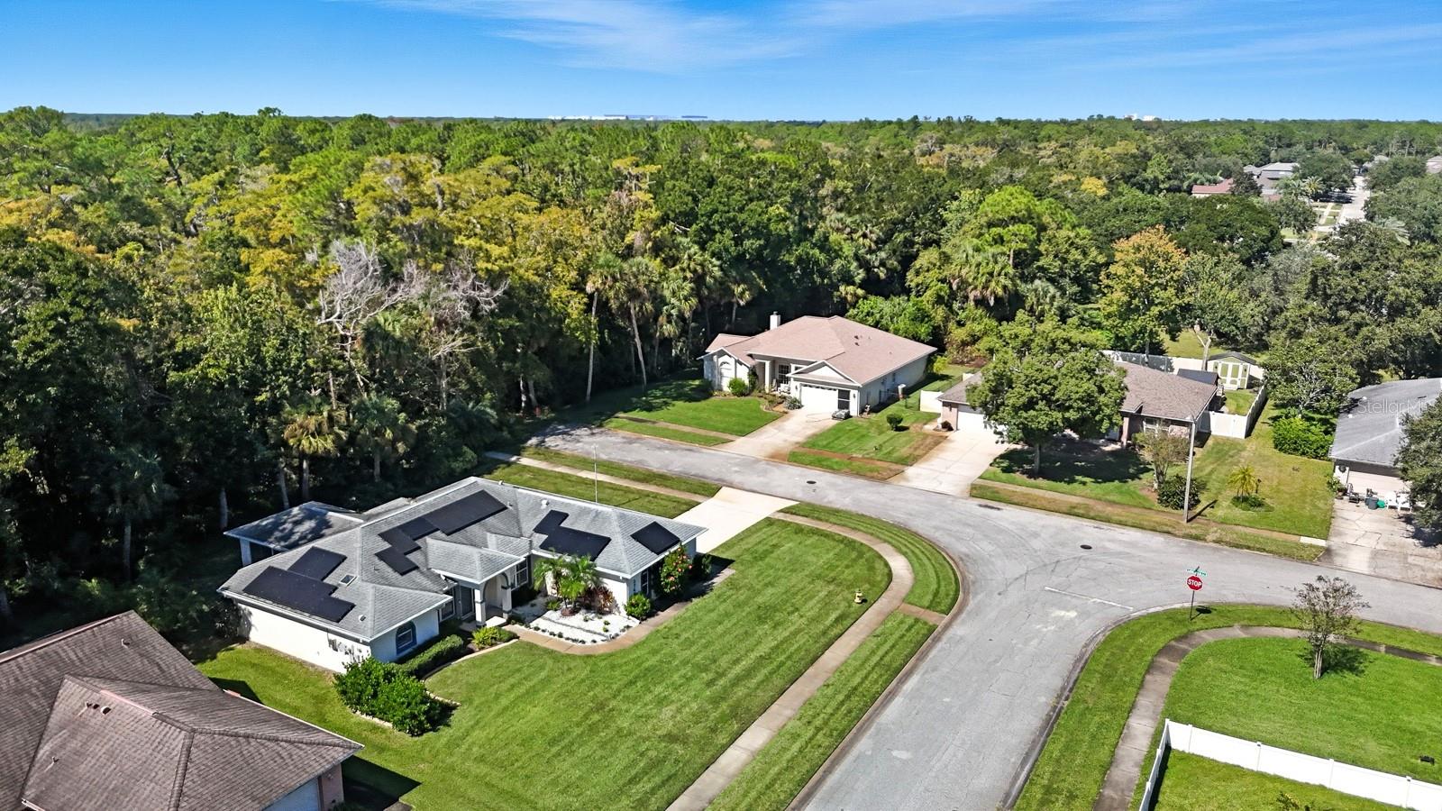 3769 GROVE VIEW LN, PORT ORANGE, FL — photo 43