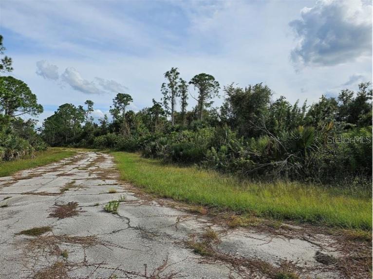 Lot 1 HINSHAW AVE, NORTH PORT, FL — photo 3