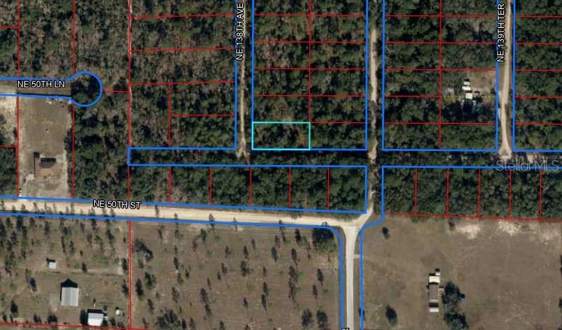 TBD NE 138TH AVE, WILLISTON, FL — photo 4
