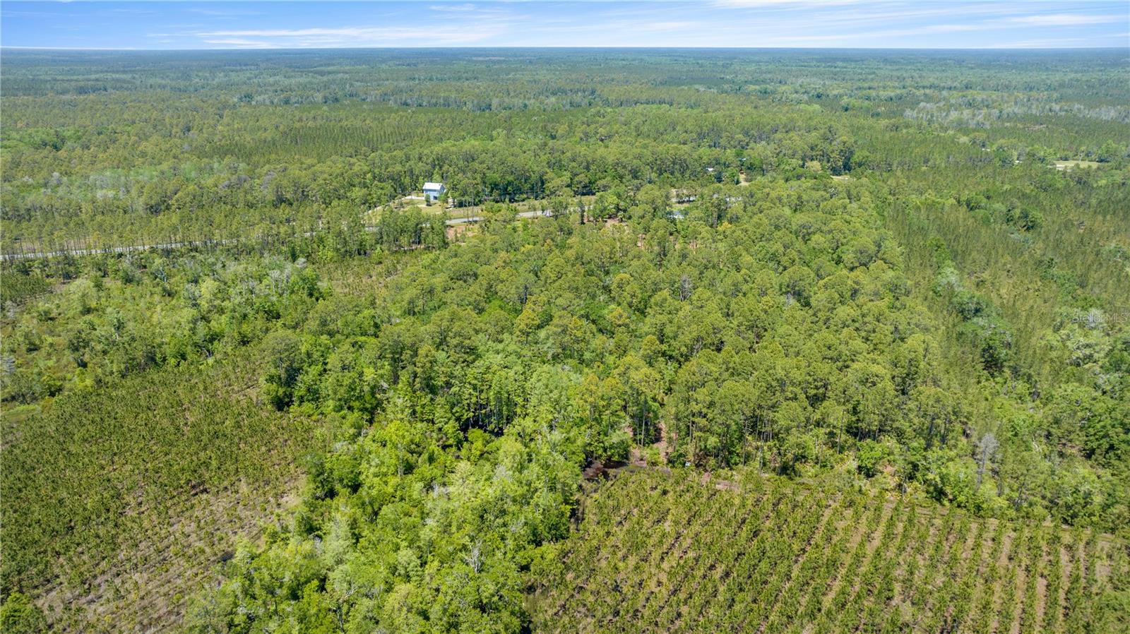 1351 SW STATE ROAD 24, CHIEFLAND, FL — photo 4