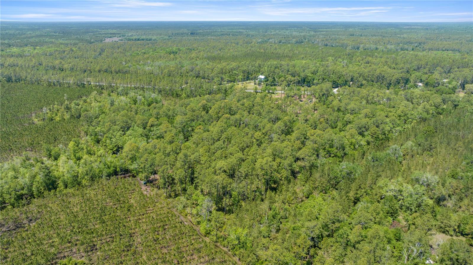 1351 SW STATE ROAD 24, CHIEFLAND, FL — photo 5