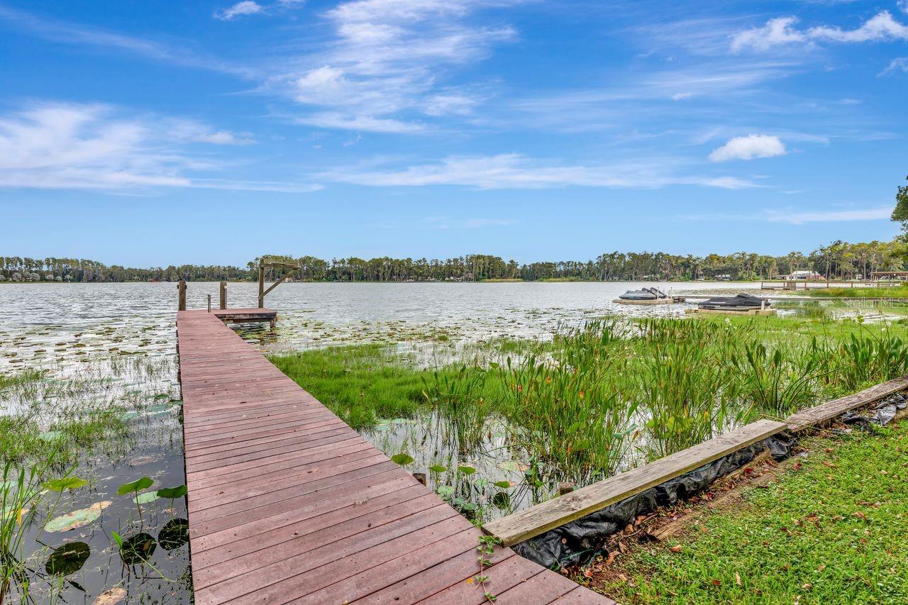 19207 CROOKED LN, LUTZ, FL — photo 51