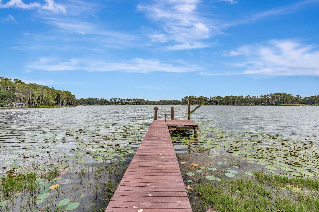 19207 CROOKED LN, LUTZ, FL — photo 4