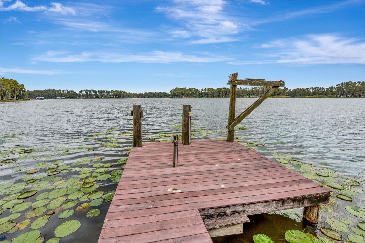 19207 CROOKED LN, LUTZ, FL — photo 53
