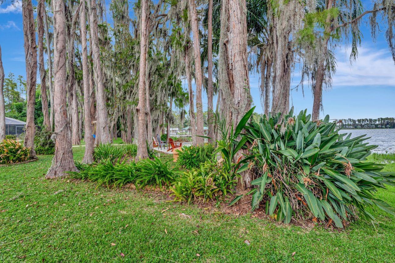 19207 CROOKED LN, LUTZ, FL — photo 56