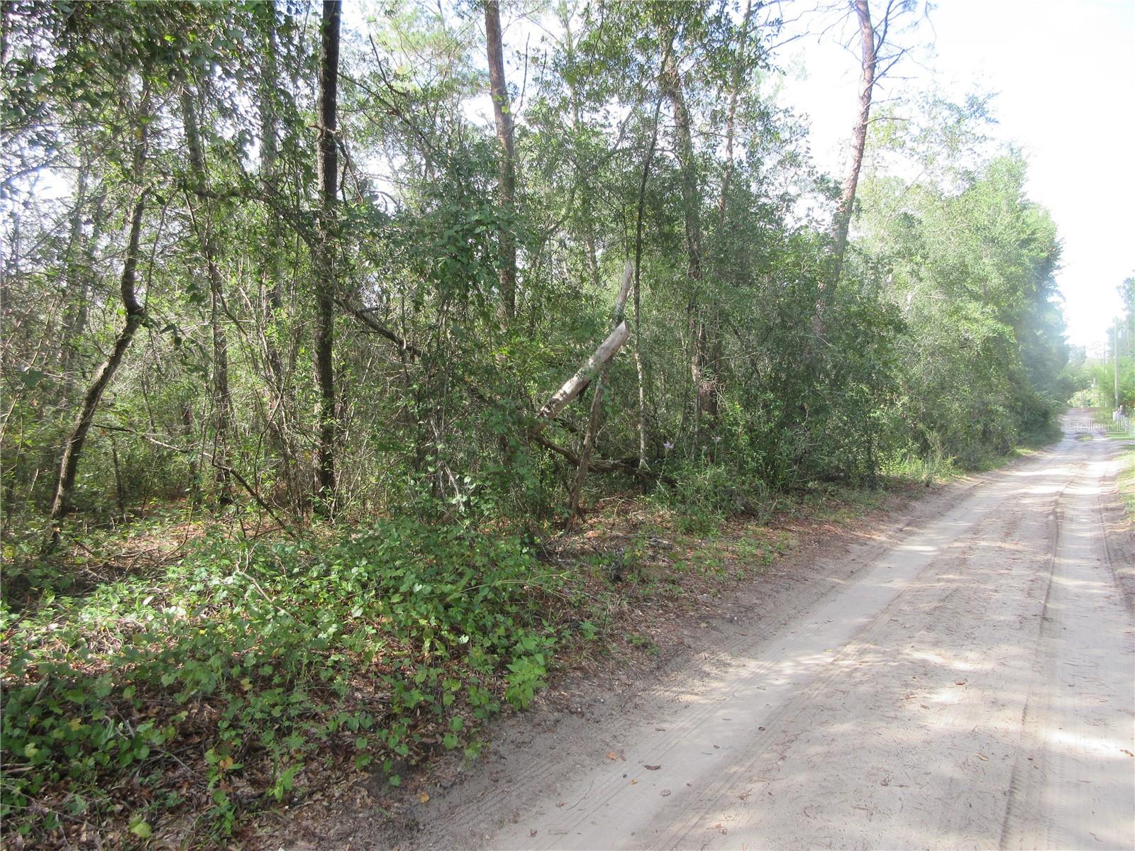 NE 171ST CT, SILVER SPRINGS, FL — photo 12